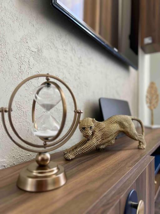 Plein Coeur Du Centre Historique De Perigueux . Apartment Екстериор снимка